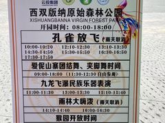 -西双版纳原始森林公园