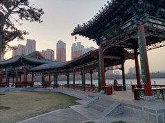 -迎泽公园