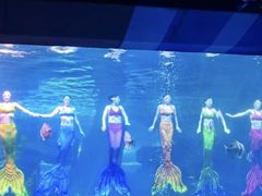 -泉城欧乐堡海洋极地世界