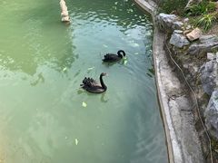 -上海虹桥迎宾馆