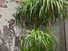 -隐厨·海鲜餐厅(恒通路店)