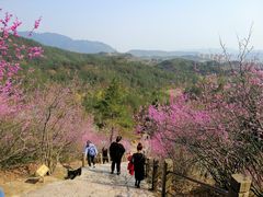-天台山赤城山景区