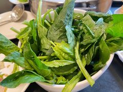 茼蒿菜-吉友粥底火锅(方斜路店)