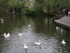 -洛阳市隋唐城遗址植物园