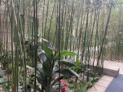 -北京英煌医疗美容