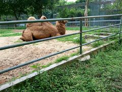 -广东茂名森林公园