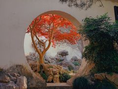 -艺圃