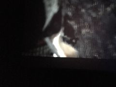 -环球国际影城(天鸿广场LUXE巨幕店)