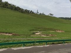 -关山草原