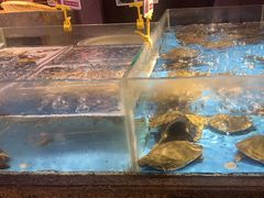 -炉忆家宴(京东店)