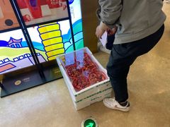 -茶百道(大卫城店)