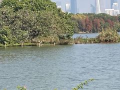 -海珠湖公园