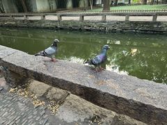 -西园戒幢律寺