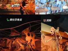 -正佳自然科学博物馆