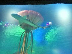 -沈阳海洋探索中心