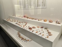 -青岛贝壳博物馆