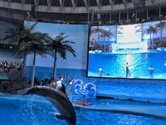 -海合安成都极地海洋公园