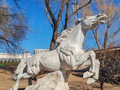 -莲花池公园