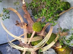 -潇湘楼·二十四节气山野菜(亚运村店)