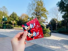 -上海迪士尼度假区