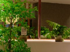 -涌上外婆桥(岱山日达店)