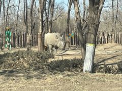 -北京野生动物园