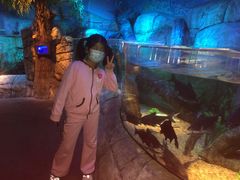 -沈阳海洋探索中心