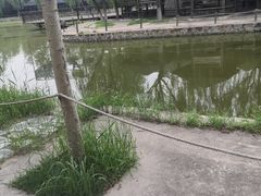-杨柳青庄园