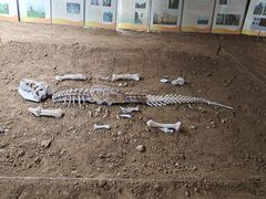 -房山世界地质公园博物馆
