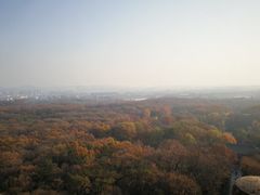 -灵谷景区
