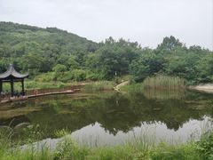-浮槎山