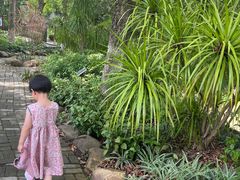 -广西壮族自治区药用植物园