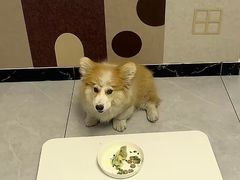 -老之蜀涮串(太平大街店)