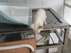 -畜牧兽医站(共江路店)