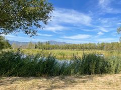 -野鸭湖国家湿地公园