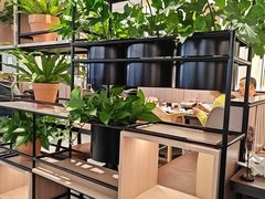 -新旺茶餐厅(恒隆广场店)