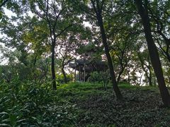 -上海市保健医疗中心