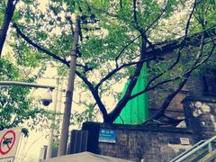 -陈有良尖椒鸡(渝中旗舰店)