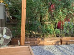 -椿风·养身茶饮(吉大店)
