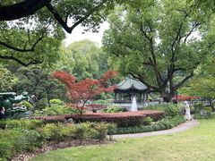 -申粤轩酒楼·三十年粤菜经典(丁香花园店)