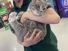 -绿树电竞(五路店)