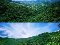 -大余丫山旅游度假区