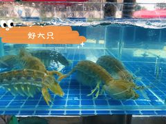 -琼大师东方烤乳猪(亚特兰蒂斯店)