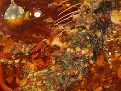 -高坎一品甲鱼庄(两河店)