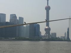 -上海港国际客运中心