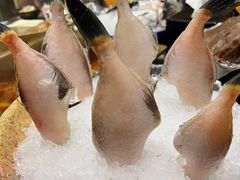 -王家渡火锅(金宝汇店)