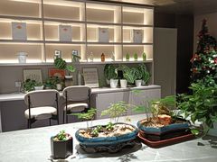 -Sips&Lick茶兰咖啡(五道口店)