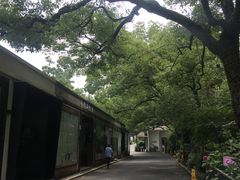 -凤凰御元艺术基地
