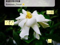 -成都南湖公园