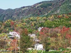 -塔川景区